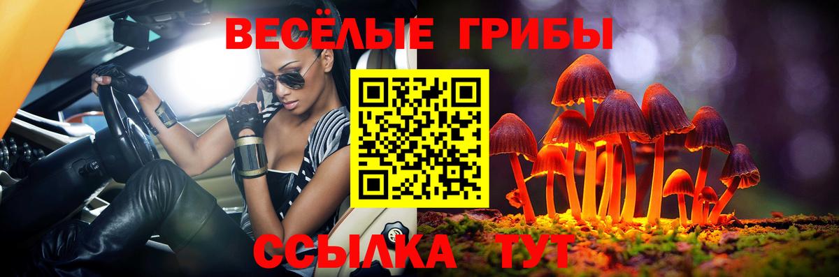 Псилоцибиновые грибы Cubensis  Вход с VPN  Переславль-Залесский 